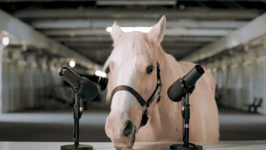 Here’s a horse doing ASMR so you’ll be inspired to visit Lexington, Kentucky