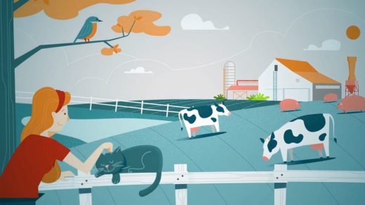 If you care about animals, should you should donate to shelters–or to stop industrial agriculture?