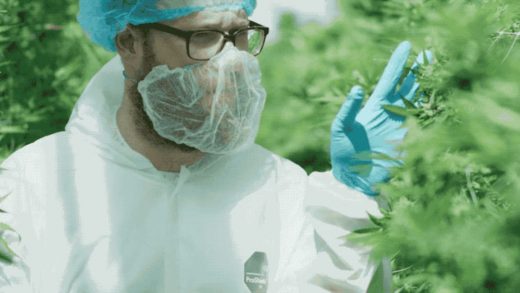 Seth Rogen launches a new cannabis brand. Of course.