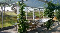 Forget green roofs–this apartment building has sand dunes on top