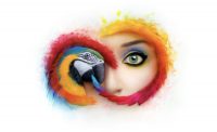 Adobe warns Creative Cloud users with older apps of legal problems