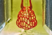 Bioengineers 3D print complex vascular networks
