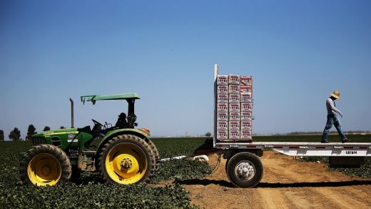 California’s high-value crops, like fruits and nuts, are the ones most vulnerable to climate change