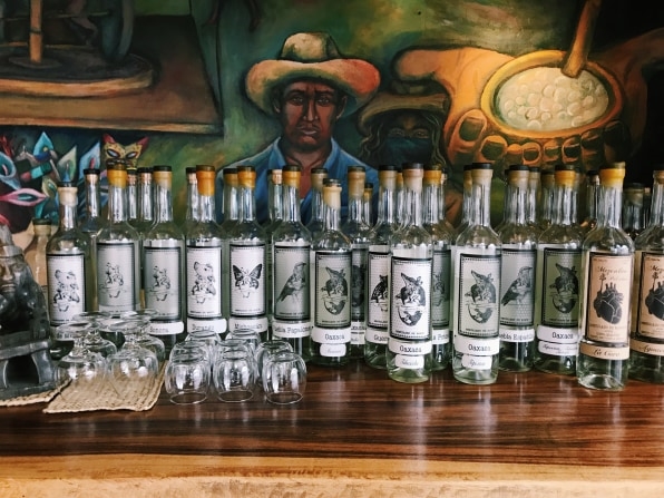 The ‘Indiana Jones of mezcal’ takes on Big Liquor and tries to save a culture | DeviceDaily.com