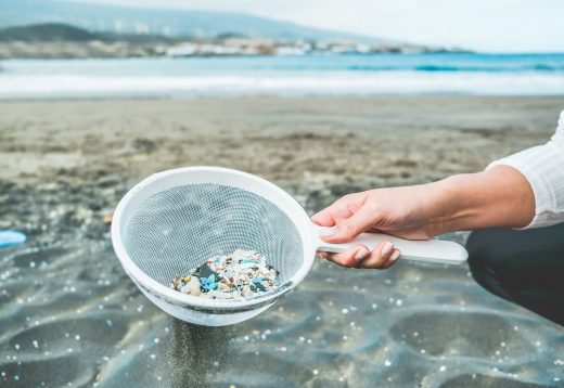 Americans consume an alarming amount of microplastics