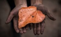 How Blockchain Can Put an End to Conflict Minerals