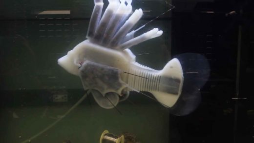 This robot fish has synthetic blood and a circulatory system