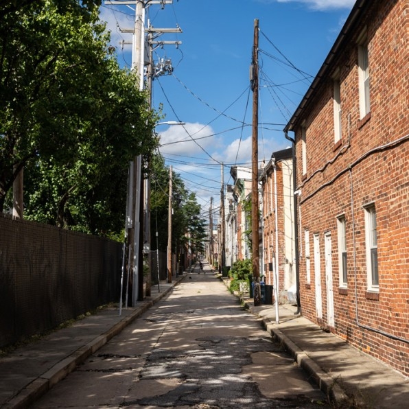 Does your street have a lush tree canopy? It may be making you healthier | DeviceDaily.com