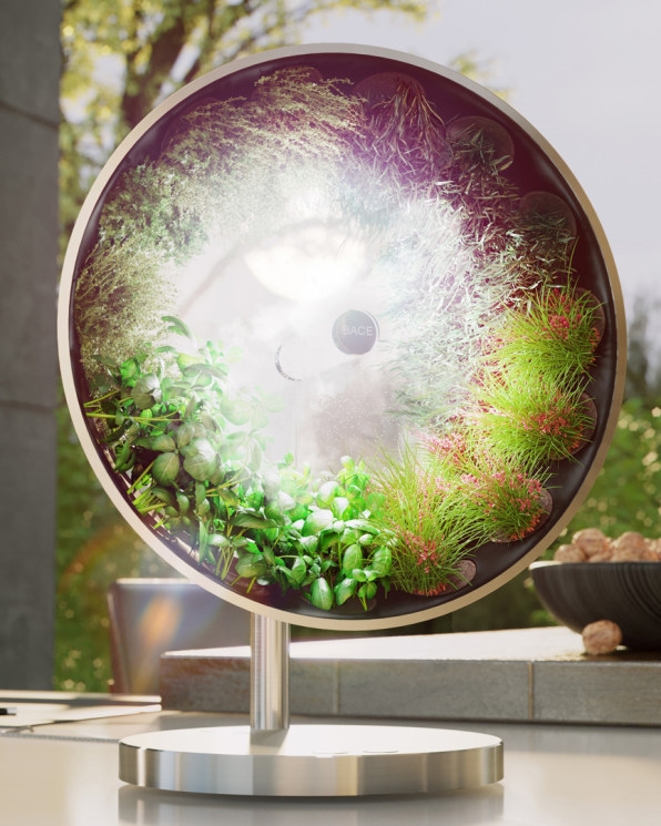This brilliant hydroponic system puts a whole garden on your countertop | DeviceDaily.com