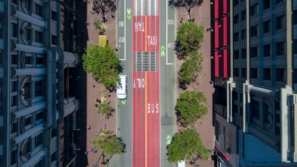 Does your street have a lush tree canopy? It may be making you healthier | DeviceDaily.com