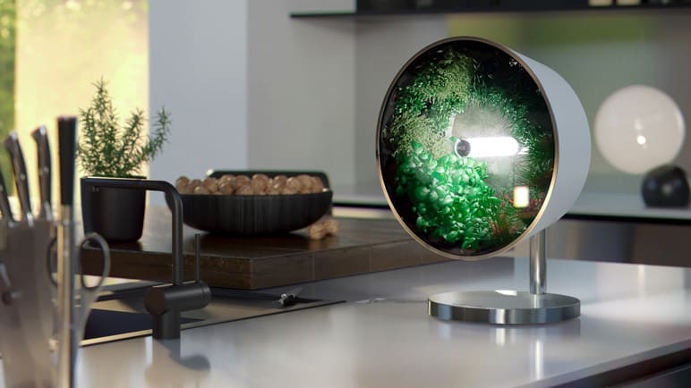 This brilliant hydroponic system puts a whole garden on your countertop | DeviceDaily.com