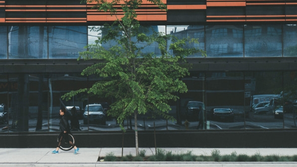 Does your street have a lush tree canopy? It may be making you healthier | DeviceDaily.com