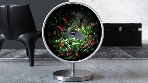 This brilliant hydroponic system puts a whole garden on your countertop