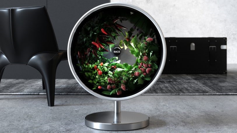 This brilliant hydroponic system puts a whole garden on your countertop | DeviceDaily.com