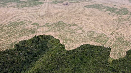 4 essential reads on Brazil’s vanishing Amazon rainforest