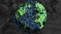 When (not if) a global pandemic hits, we will not be ready