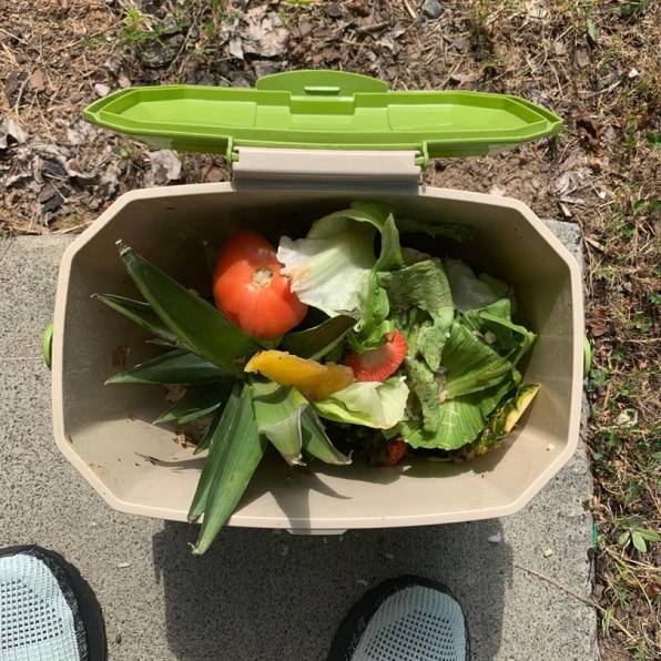 How Durham is using user-testing to design a compost system that works | DeviceDaily.com