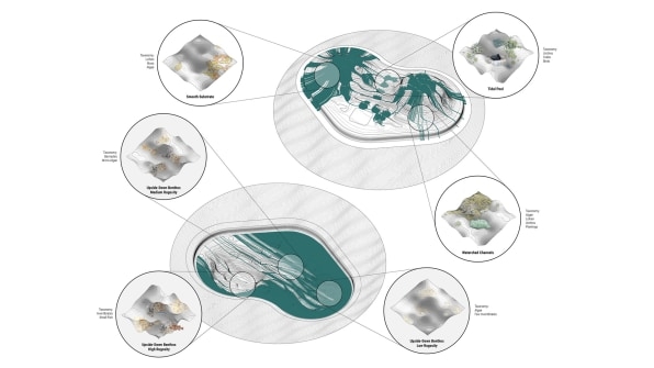 This artificial island is a home for sea creatures displaced by climate change | DeviceDaily.com