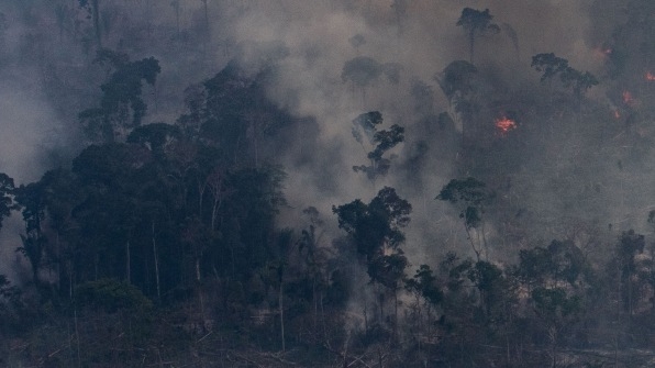 4 levers to build a better global policy to stop the Amazon fires | DeviceDaily.com