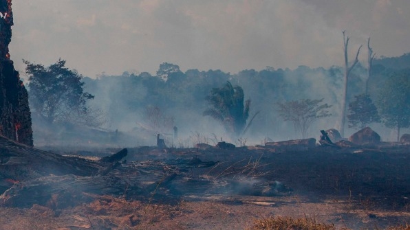4 levers to build a better global policy to stop the Amazon fires | DeviceDaily.com