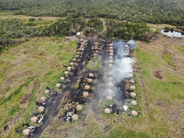 South America’s second-largest forest is also burning | DeviceDaily.com