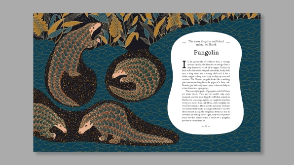 This gorgeous book teaches kids about the plight of endangered animals | DeviceDaily.com