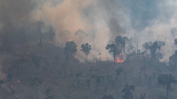4 levers to build a better global policy to stop the Amazon fires | DeviceDaily.com