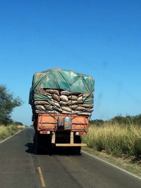 South America’s second-largest forest is also burning | DeviceDaily.com