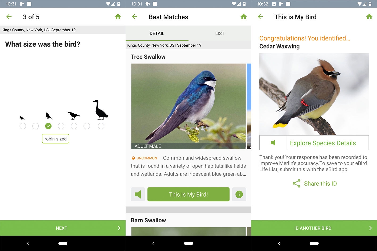 Tech that helped me fall back in love with birdwatching | DeviceDaily.com