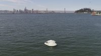 This artificial island is a home for sea creatures displaced by climate change
