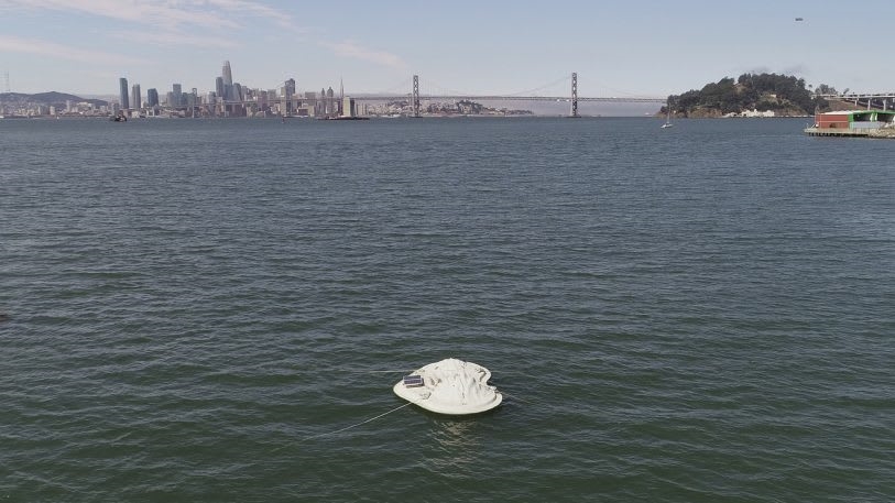 This artificial island is a home for sea creatures displaced by climate change | DeviceDaily.com