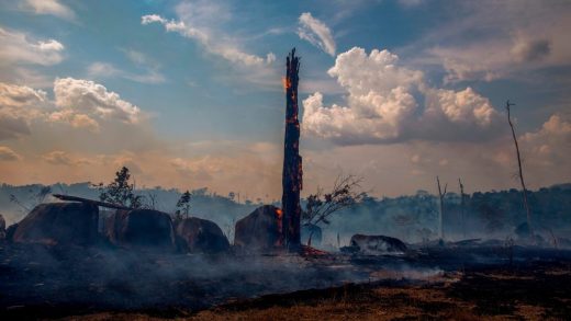 4 levers to build a better global policy to stop the Amazon fires