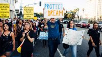 Starbucks, Google, Amazon, and more than 130 companies say killing DACA would hurt them