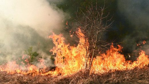 This firefighter monitoring device is designed to protect first responders as wildfires spread