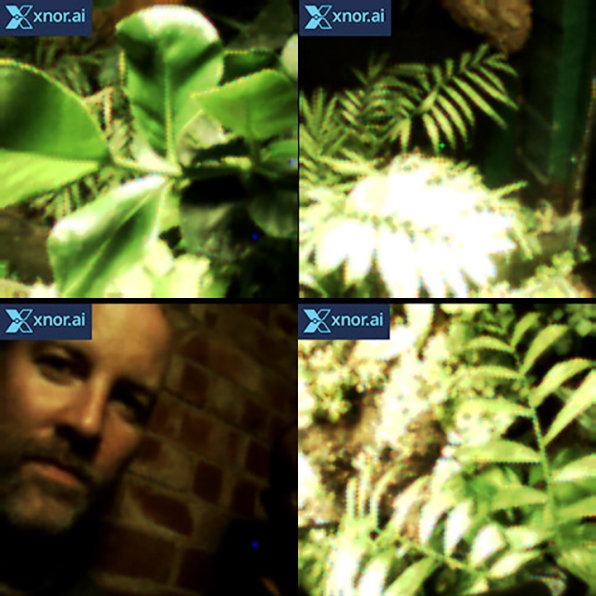 This plant can take a selfie | DeviceDaily.com