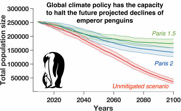As the ice disappears, climate change is coming for the emperor penguin | DeviceDaily.com