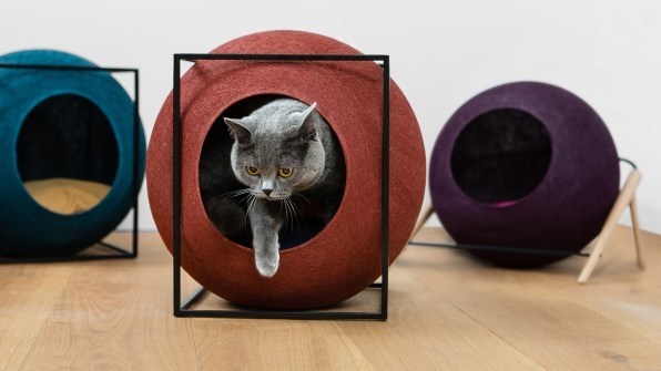Can this design-forward pet startup take on big-box retailers? | DeviceDaily.com