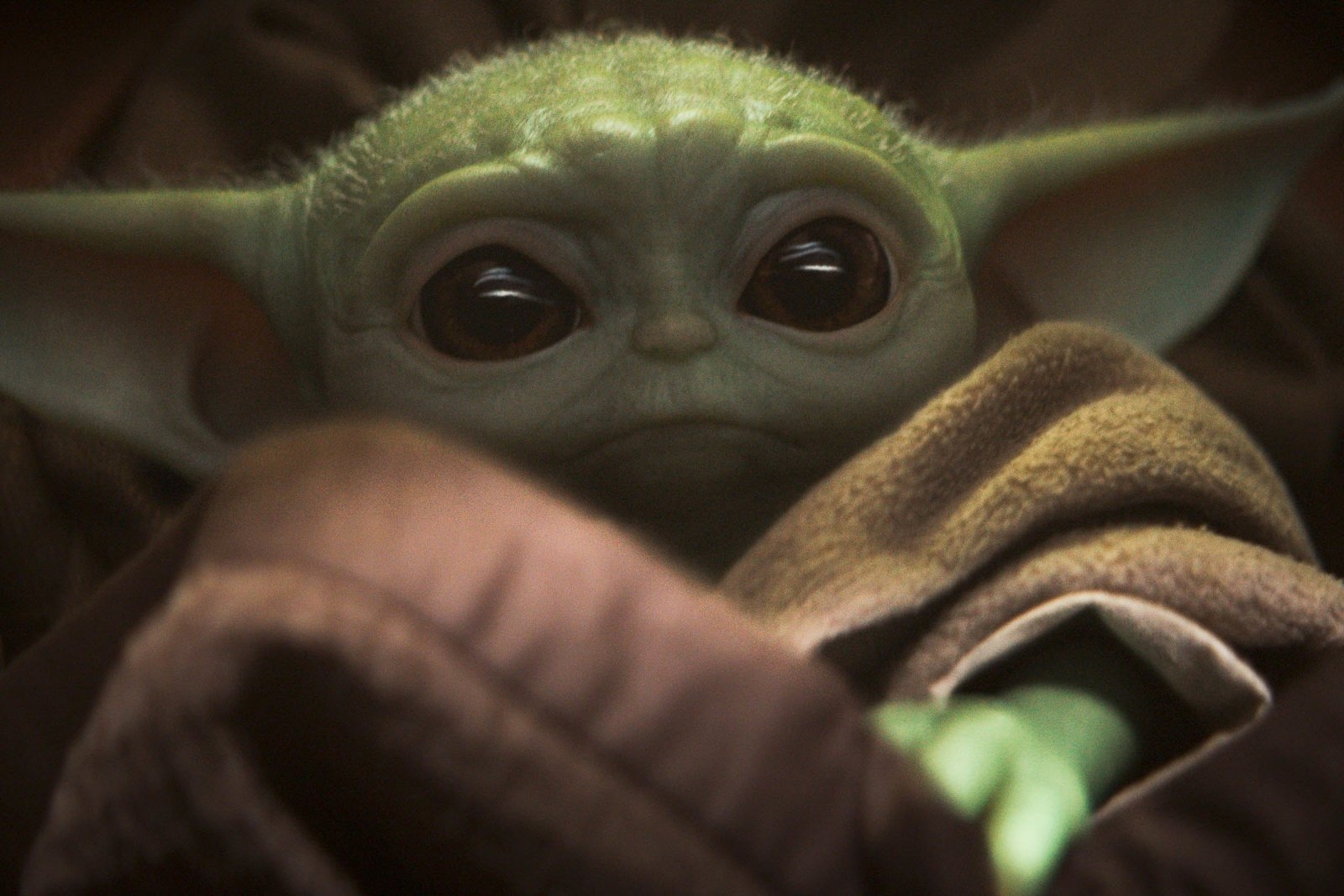 Google's 2019 search trends mark a big year for Baby Yoda and 'Endgame' | DeviceDaily.com