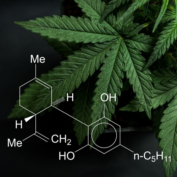 Is CBD safe? We, uh, really don’t know, the FDA warns | DeviceDaily.com