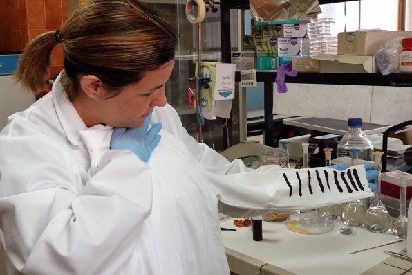 This T-shirt uses your body heat to generate electricity | DeviceDaily.com This T-shirt uses your body heat to generate electricity | DeviceDaily.com
