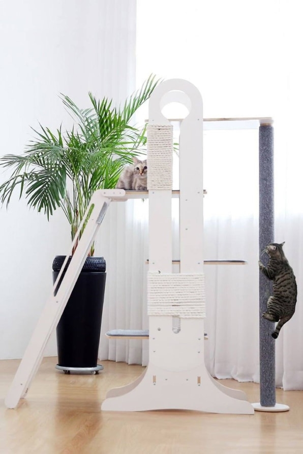 Can this design-forward pet startup take on big-box retailers? | DeviceDaily.com