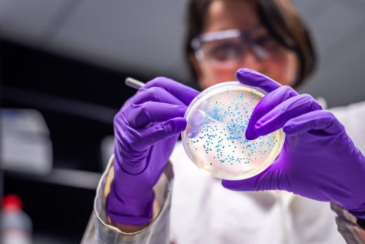 Researchers develop E. coli strain that ‘eats’ carbon-dioxide