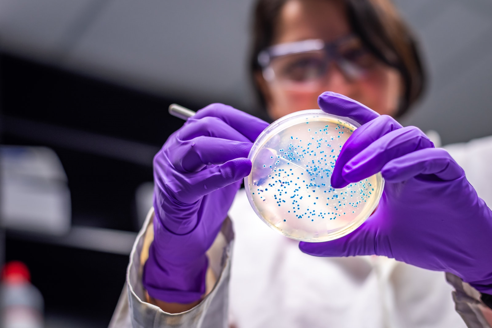 Researchers develop E. coli strain that 'eats' carbon-dioxide | DeviceDaily.com
