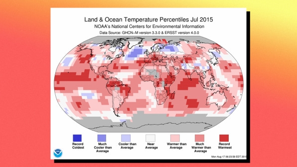 One million seabirds died in the North Pacific during 2016’s brutal ocean heatwave | DeviceDaily.com