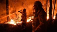 7 ways to help victims of Australia’s deadly wildfires right now