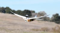 Pigeon-inspired drone bends its wings to make it more agile
