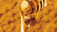 Eating honey is more complicated than you might think