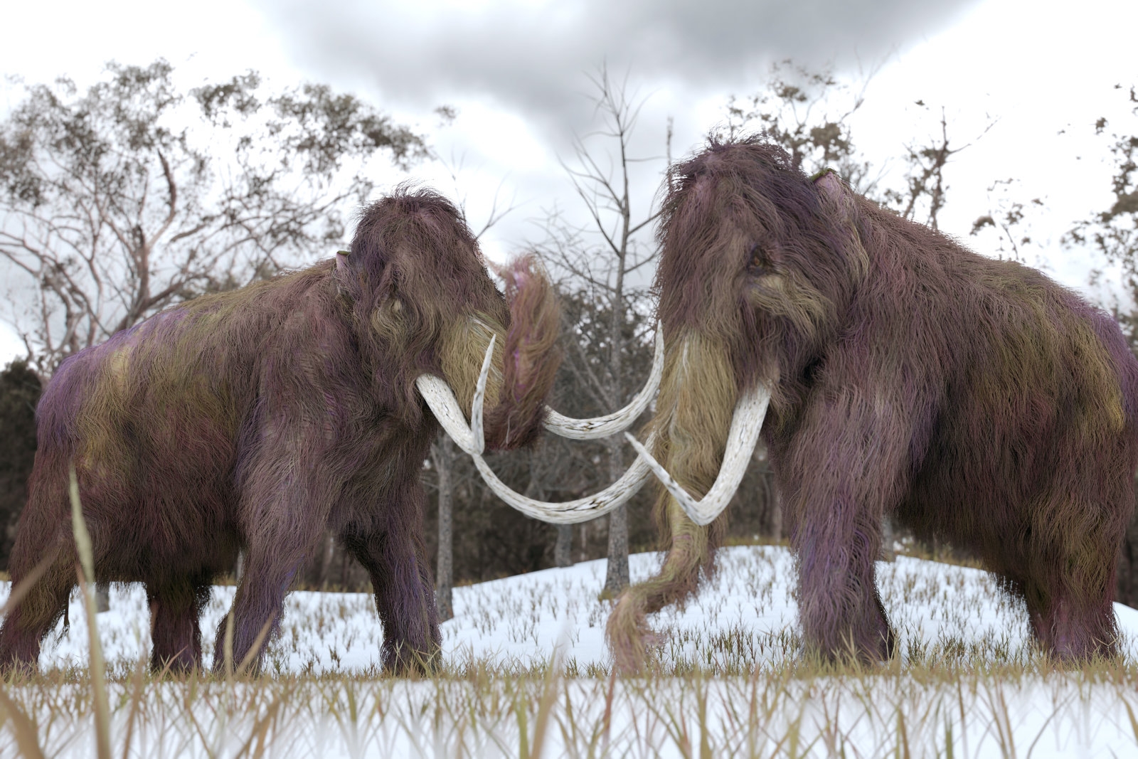 'Resurrected' mammoth DNA helps explain why the species went extinct | DeviceDaily.com