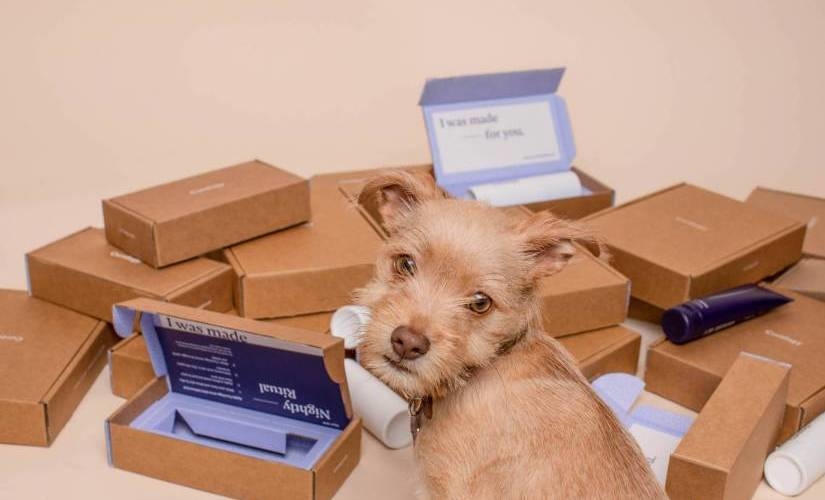 Offering Subscriptions Ensures Better Customer Experience | DeviceDaily.com Offering Subscriptions Ensures Better Customer Experience | DeviceDaily.com