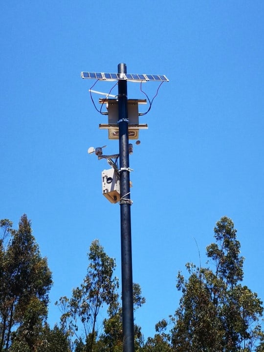 These “digital noses” in trees sniff the air for forest fires | DeviceDaily.com